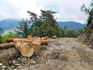 Babadağ’a yeni yapılan yol, yamaç paraşütü etkinliklerinin tüm yıla yayılmasını amaçlıyor ama dağın doğal yapısına zarar veriyor. 