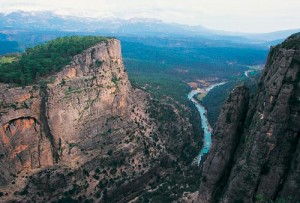 Birbiriyle ilişkili çok sayıda ekosisteme sahip bir alan Köprülü Kanyon Milli Parkı. Antalya’nın Manavgat ilçesi sınırları içindeki alan 1973 yılında milli park ilan edildi.