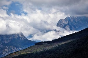 Geyik Ormanı Geyikbayırı, Antalya merkez ilçenin sınırları içinde kalan, Beydağları’nın önemli zirvelerinden Geyik Sivrisi’nin eteklerinde. Dağın Geyikbayırı’na bakan bölümü kızılçam ormanlarıyla kaplı. Yöredeki köylüler eskiden dağda çok sayıda “geyik” olduğunu ama zamanla azaldıklarını anlatıyor. Geyik dedikleri dağkeçisi (Capra aegagrus) günümüzde koruma altında ve avlanması yasak.