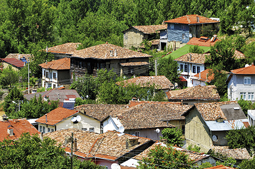 Fotoğraf: Yıldırım Güngör