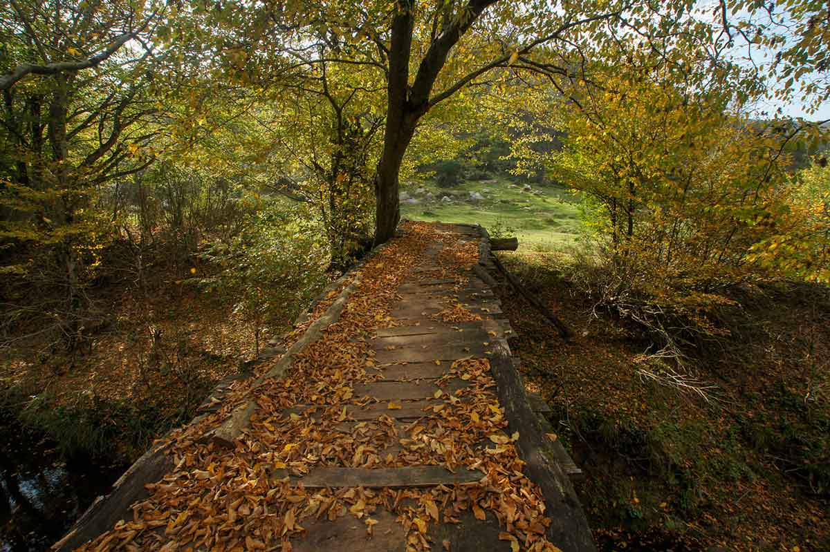 sarıkavak-kalesi-yürüyüş-yolu